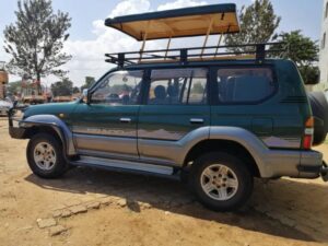 Land Cruiser popup roof safari game viewing Uganda